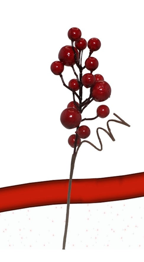 PICK 23CM CON BACCHE ROSSE