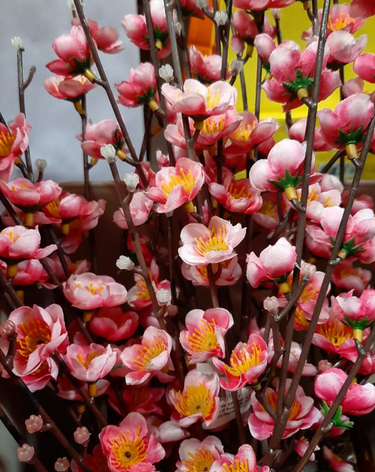 FIORI DI PESCO PER DECORAZIONI